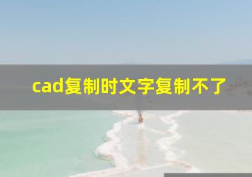 cad复制时文字复制不了