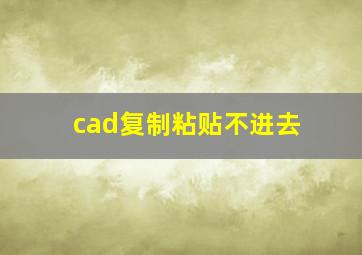 cad复制粘贴不进去