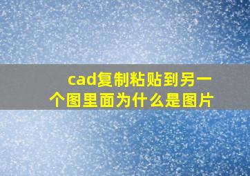 cad复制粘贴到另一个图里面为什么是图片