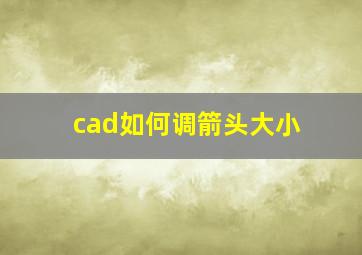 cad如何调箭头大小