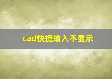 cad快捷输入不显示