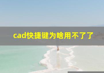 cad快捷键为啥用不了了