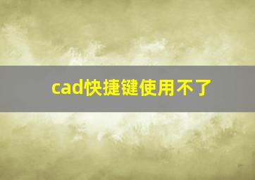 cad快捷键使用不了