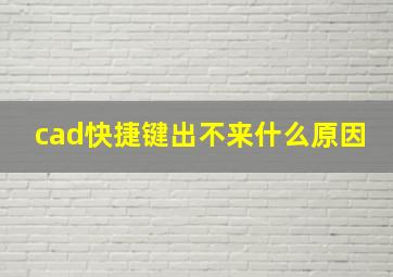 cad快捷键出不来什么原因