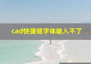 cad快捷键字体输入不了