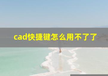 cad快捷键怎么用不了了