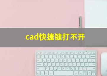 cad快捷键打不开