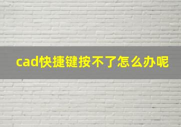 cad快捷键按不了怎么办呢