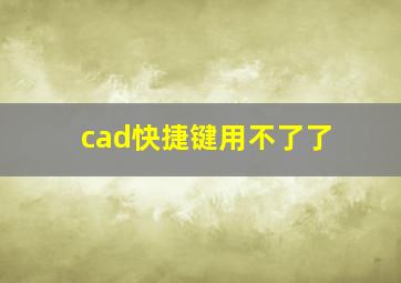 cad快捷键用不了了