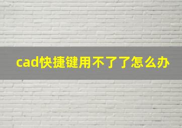 cad快捷键用不了了怎么办