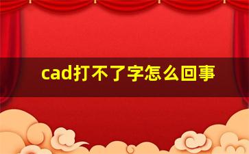 cad打不了字怎么回事