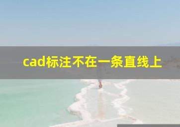 cad标注不在一条直线上