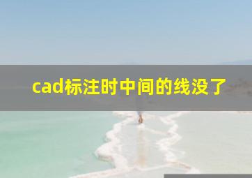 cad标注时中间的线没了