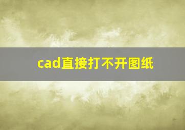 cad直接打不开图纸