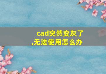 cad突然变灰了,无法使用怎么办