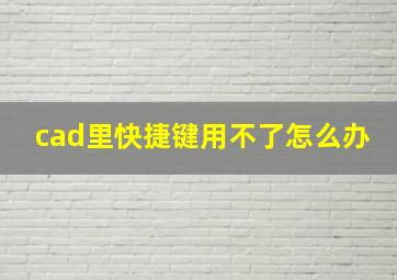 cad里快捷键用不了怎么办