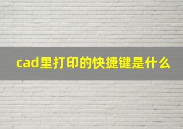 cad里打印的快捷键是什么