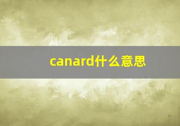 canard什么意思