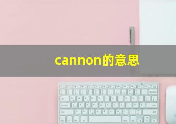 cannon的意思