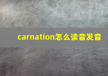 carnation怎么读音发音