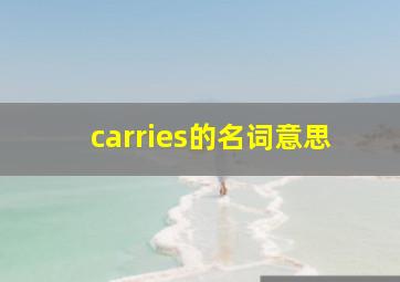 carries的名词意思