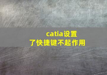 catia设置了快捷键不起作用