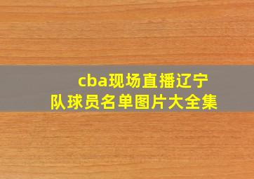 cba现场直播辽宁队球员名单图片大全集