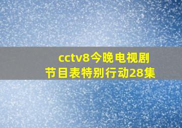 cctv8今晚电视剧节目表特别行动28集