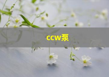 ccw泵