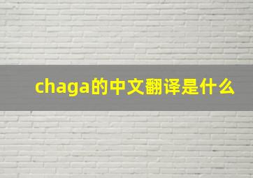 chaga的中文翻译是什么