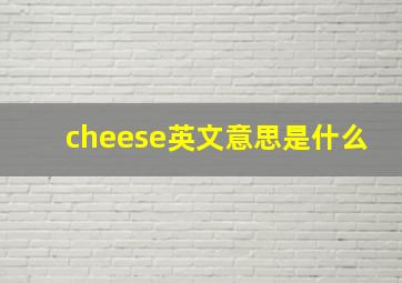 cheese英文意思是什么