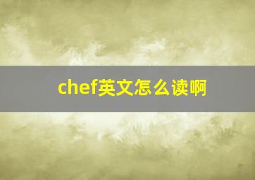 chef英文怎么读啊