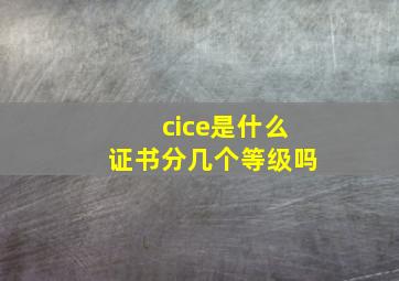 cice是什么证书分几个等级吗