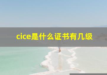 cice是什么证书有几级