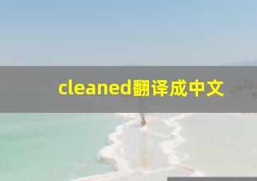 cleaned翻译成中文