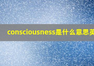 consciousness是什么意思英语