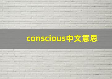 conscious中文意思