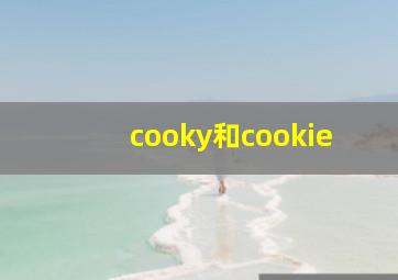 cooky和cookie