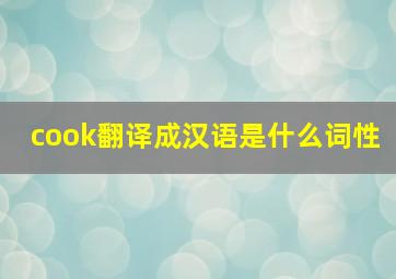 cook翻译成汉语是什么词性