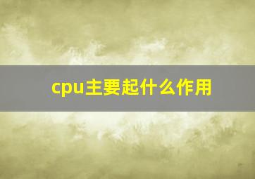 cpu主要起什么作用