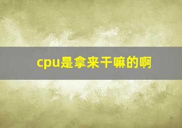 cpu是拿来干嘛的啊