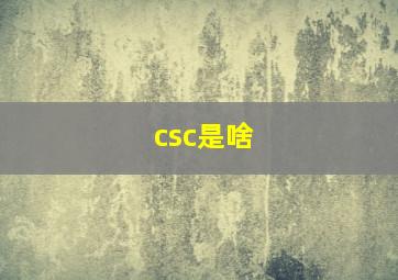 csc是啥