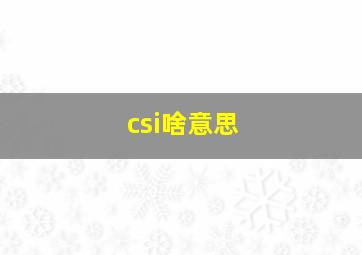 csi啥意思