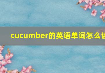 cucumber的英语单词怎么读