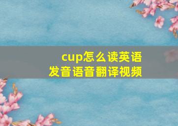 cup怎么读英语发音语音翻译视频