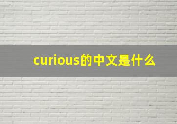 curious的中文是什么