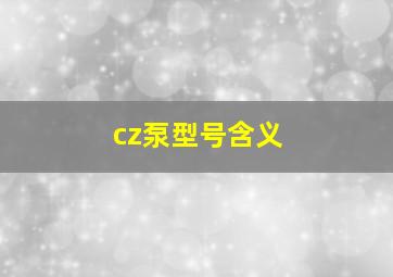 cz泵型号含义