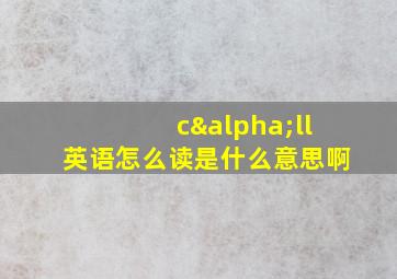 cαll英语怎么读是什么意思啊