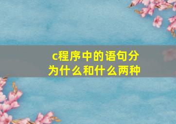 c程序中的语句分为什么和什么两种