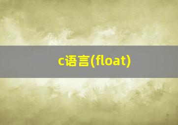 c语言(float)